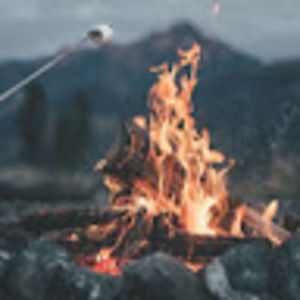 Meet your Posher, Jayme